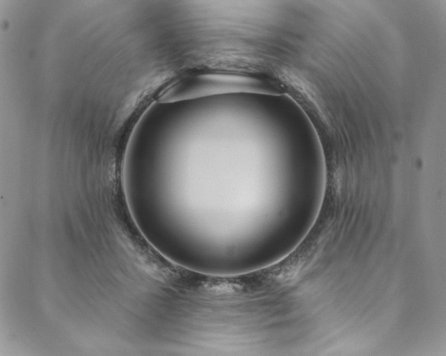 X0000090500407200707131357