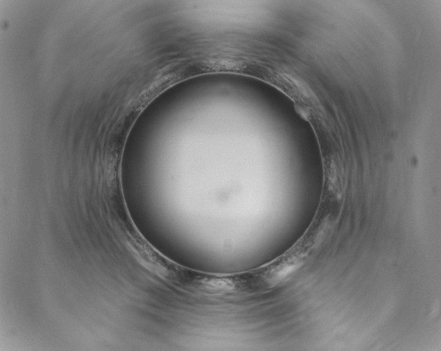 X0000090500409200707131357