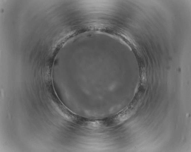 X0000090500411200707131357