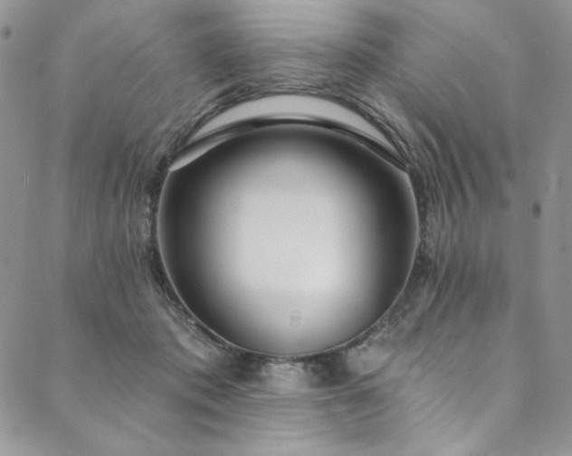 X0000090500413200707131357
