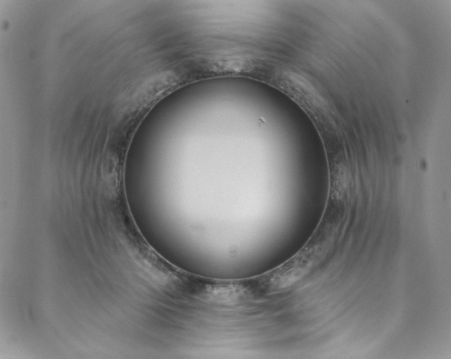 X0000090500414200707131357