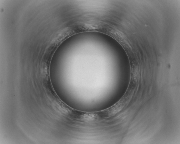 X0000090500418200707131357