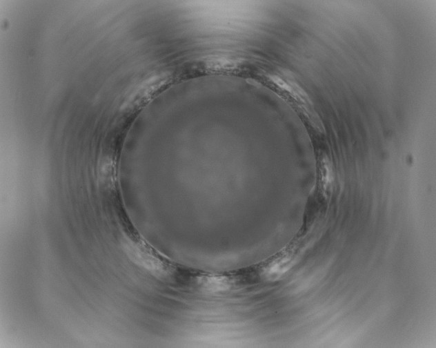 X0000090500419200707131357