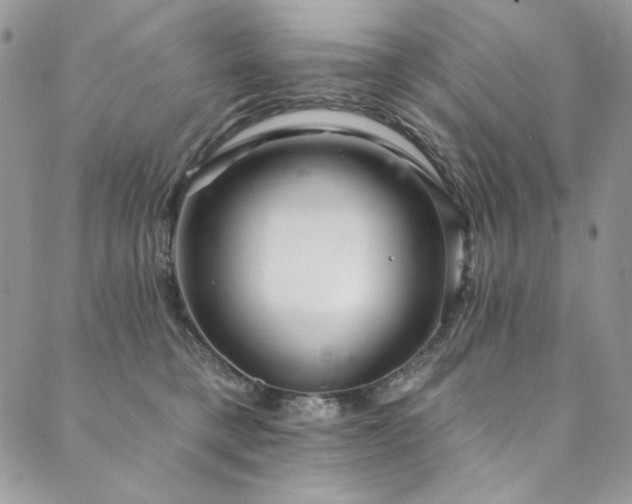 X0000090500421200707131357