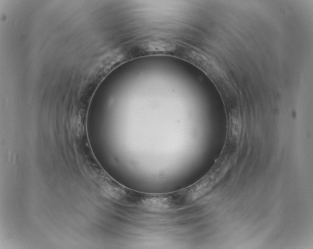 X0000090500422200707131357
