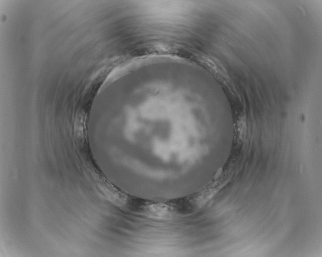 X0000090500423200707131357