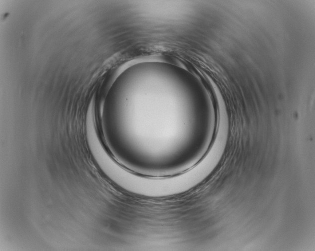 X0000090500425200707131357