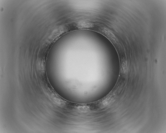 X0000090500426200707131357