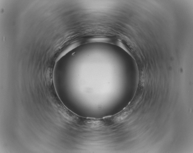 X0000090500428200707131357