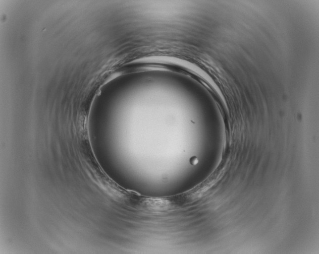 X0000090500429200707131357