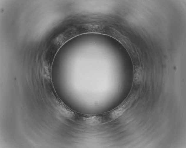X0000090500430200707131357