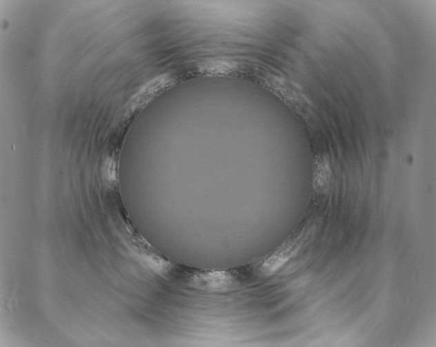 X0000090500431200707131357