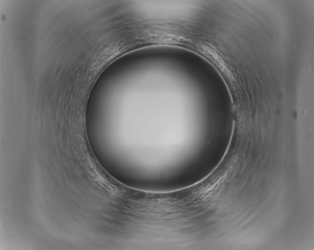 X0000090500433200707131356