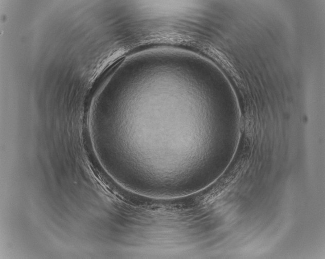 X0000090500434200707131356