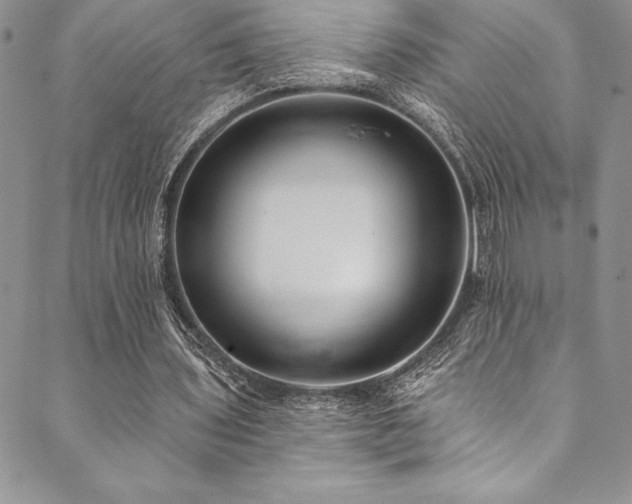X0000090500435200707131356