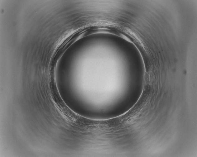 X0000090500436200707131356