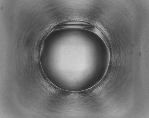 X0000090500441200707131356