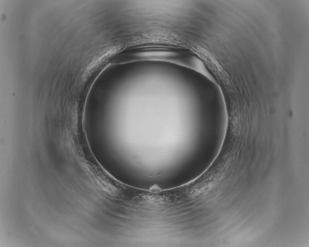 X0000090500442200707131356