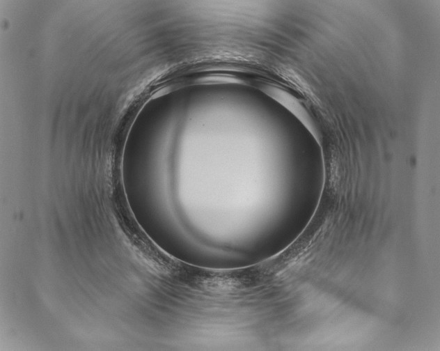 X0000090500444200707131356
