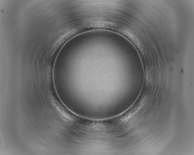 X0000090500445200707131356