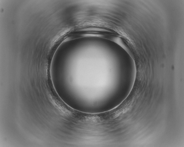 X0000090500446200707131356