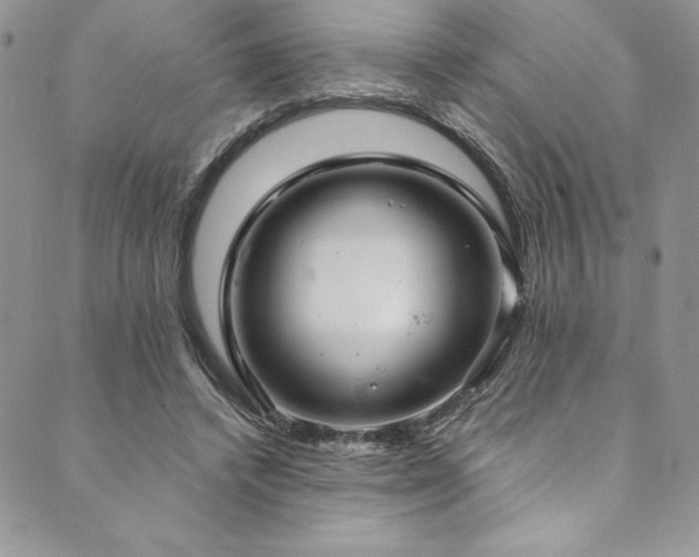 X0000090500448200707131356