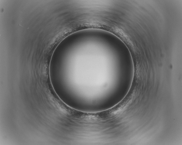X0000090500449200707131356