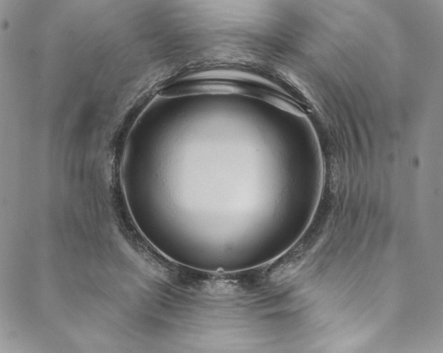 X0000090500451200707131356