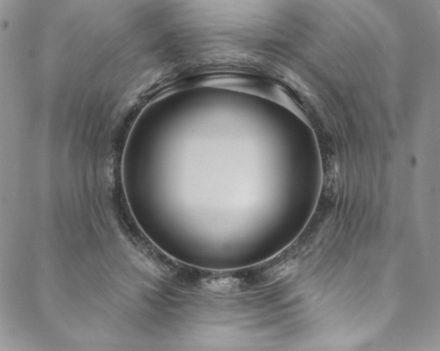X0000090500452200707131356