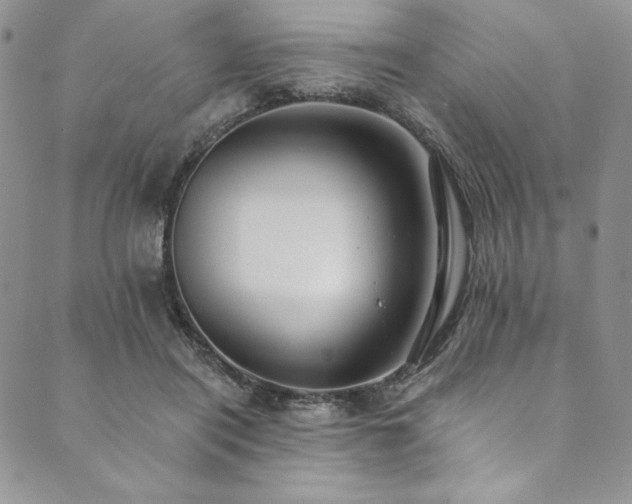 X0000090500454200707131356