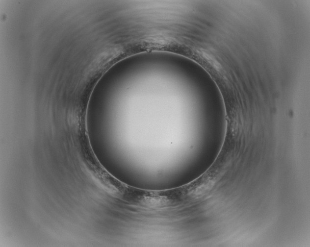X0000090500455200707131356