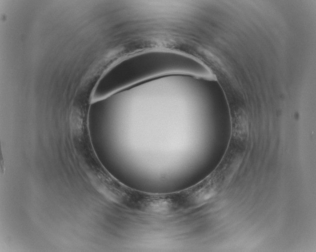 X0000090500456200707131356