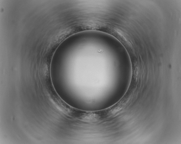 X0000090500459200707131356