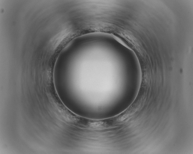 X0000090500461200707131356