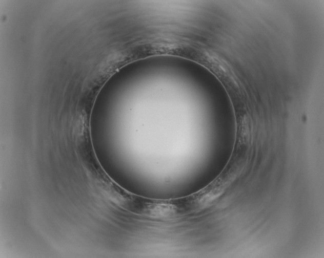 X0000090500463200707131356