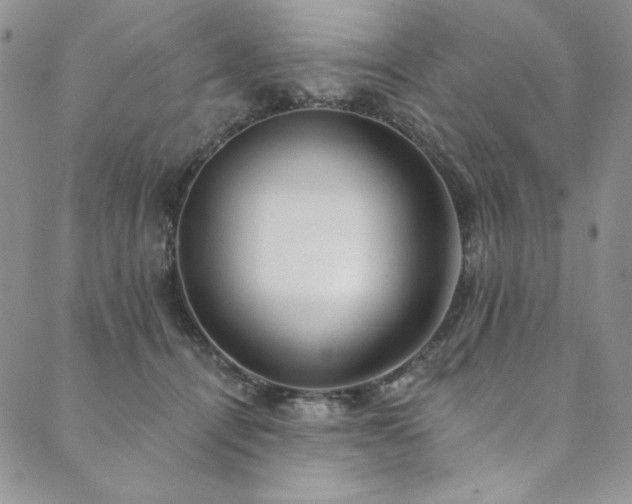 X0000090500464200707131356