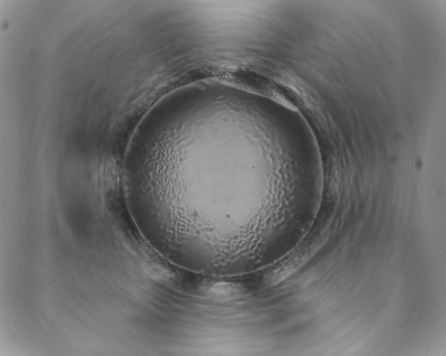 X0000090500467200707131356