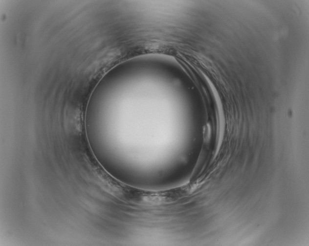 X0000090500470200707131356