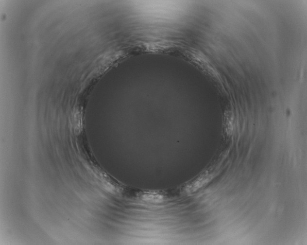 X0000090500471200707131356