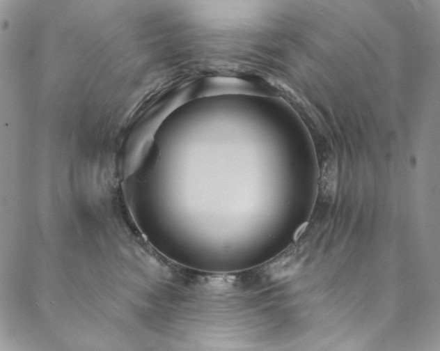 X0000090500474200707131356