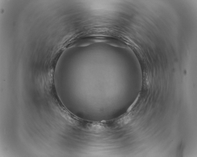X0000090500475200707131356