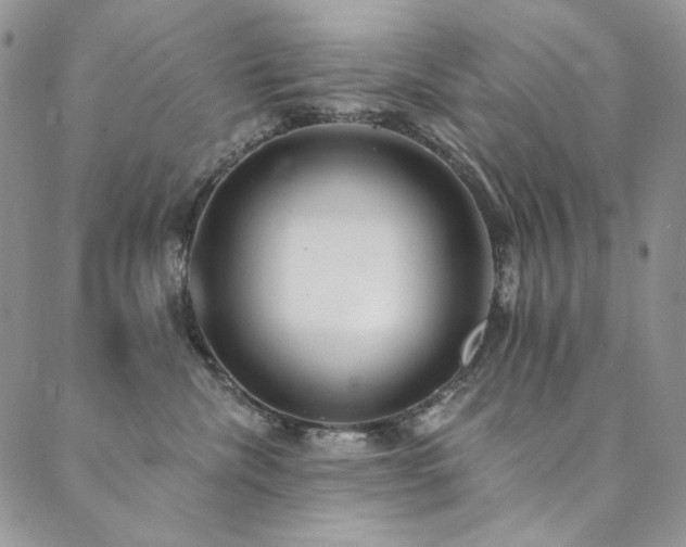 X0000090500476200707131356