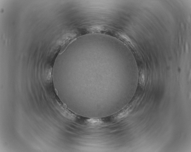 X0000090500477200707131356