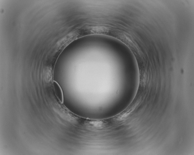 X0000090500478200707131356