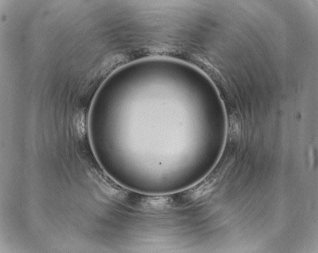 X0000090500479200707131357