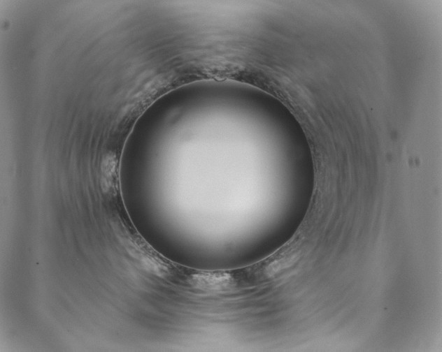X0000090500480200707131357