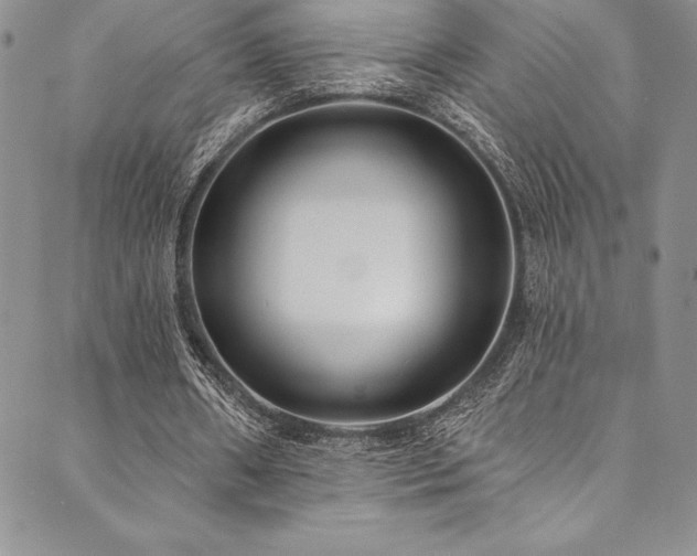 X0000090500482200707131356