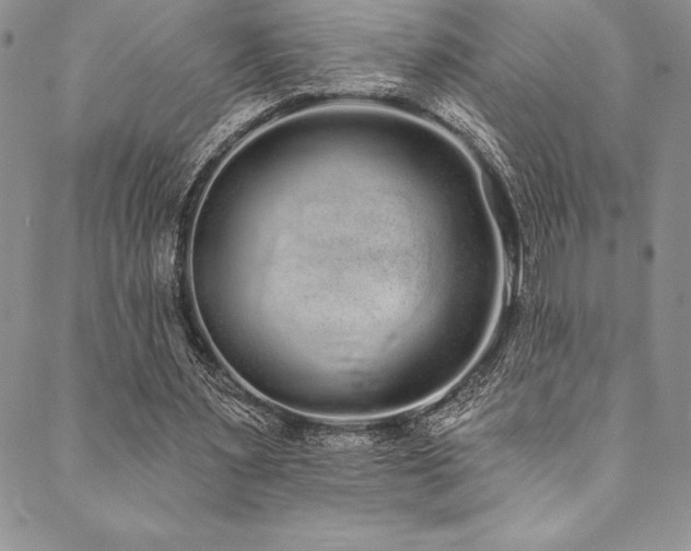 X0000090500483200707131356
