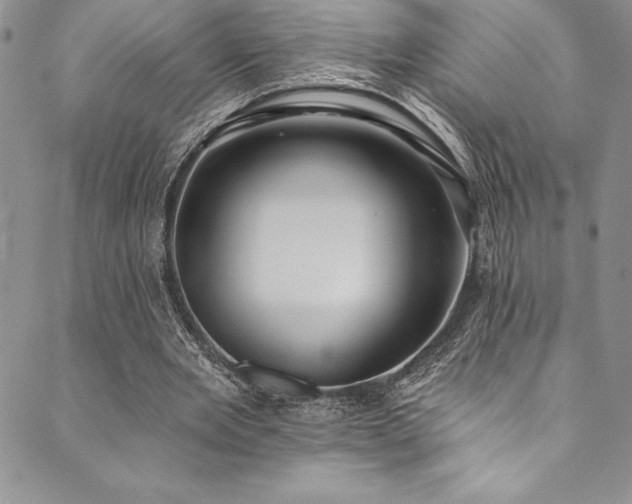 X0000090500485200707131356