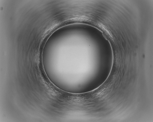 X0000090500486200707131356